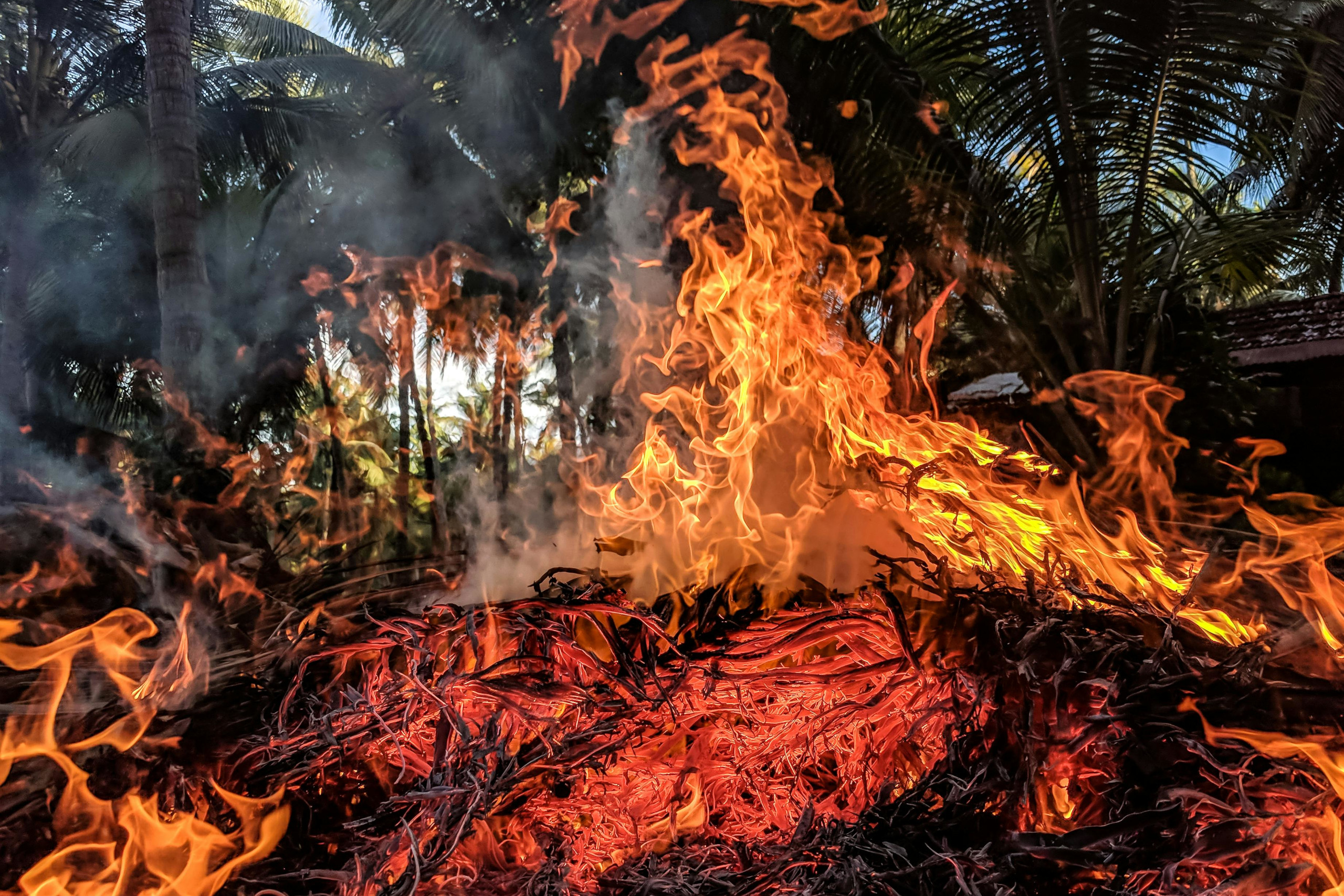 pexels-ajaybhargavguduru-948270 rdcd