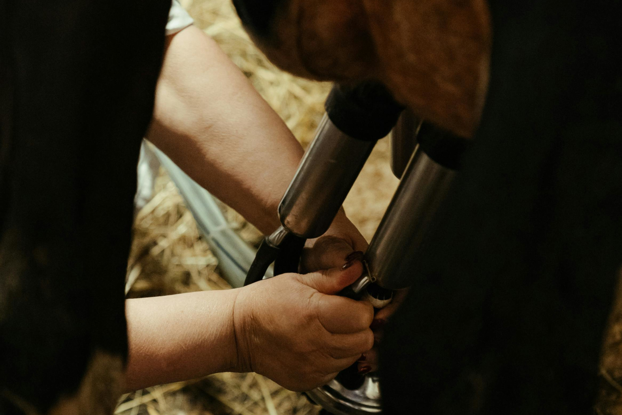 pexels-cottonbro-4910830 rdcd